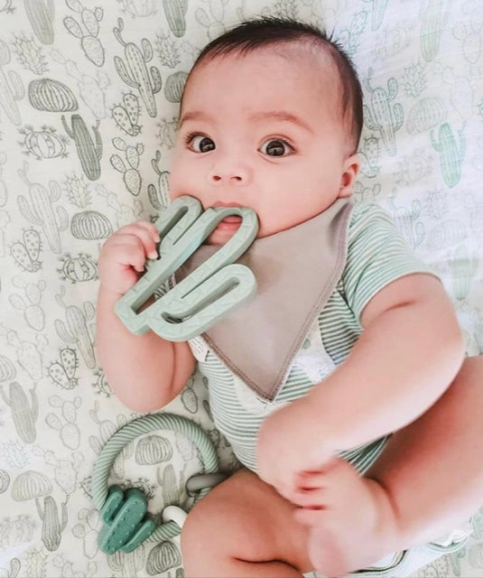 Ritzy Rattle Silicone Teether