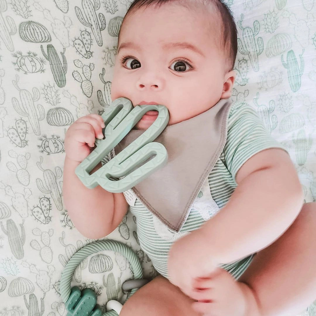 Chew Crew Teether