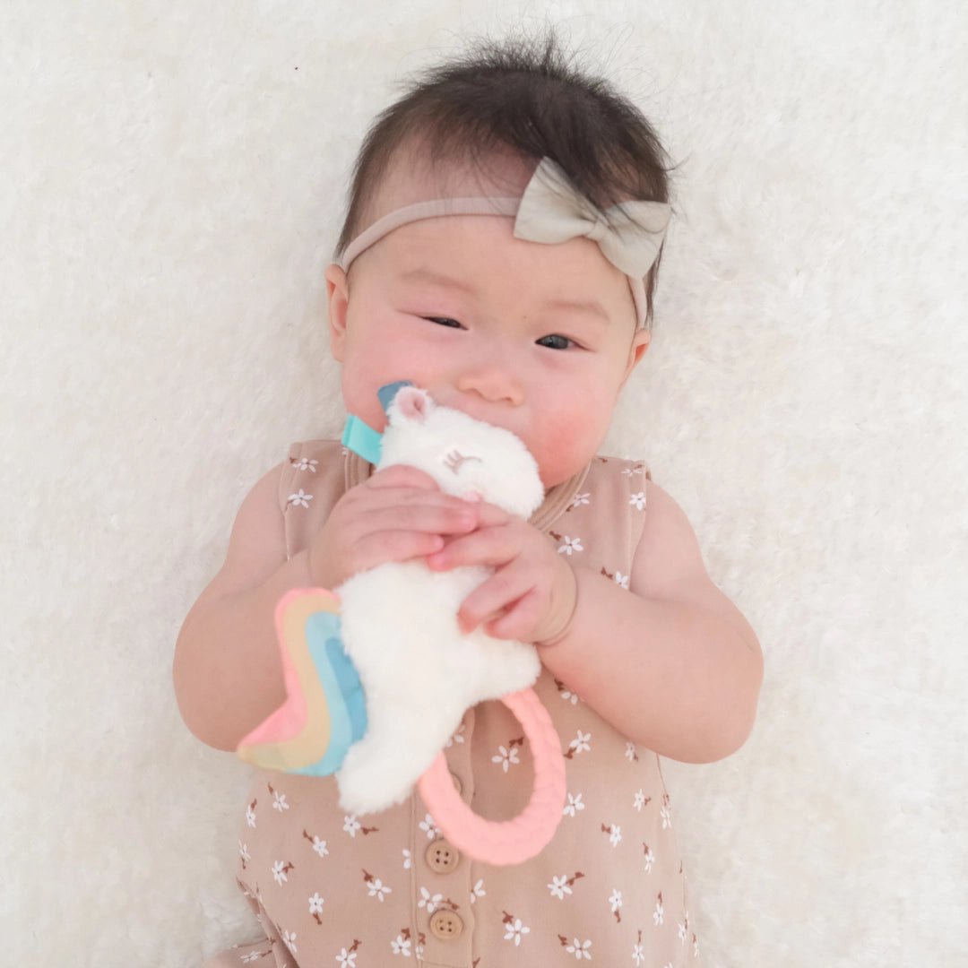 Rattle Pal Teether