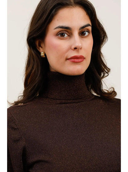 Turtleneck Sweater in Tencel & Lurex Knit