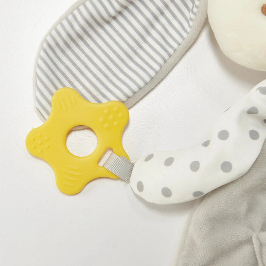 Bloom's Activity Toy