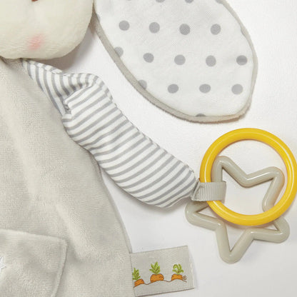 Bloom's Activity Toy