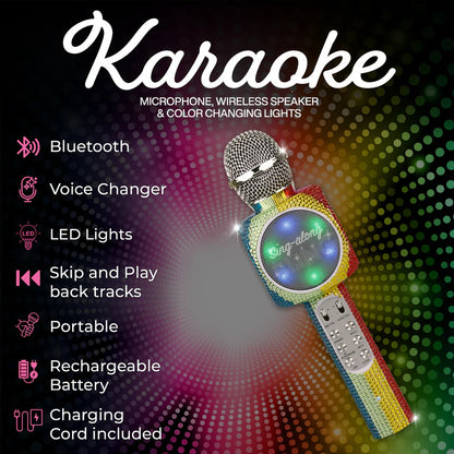Rainbow Karaoke Sing A Long Microphone