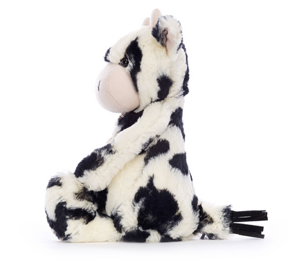 Bashful Calf