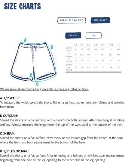 Dino Takeover Boardies Boys Swim Trunks